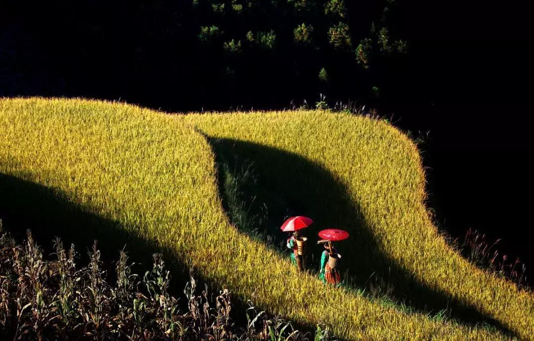 邵阳美味之城,邵阳只有邵阳人才能懂的美食