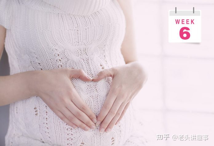 孕1-40周胎儿腹围发育标准,孕1-40周胎儿发育过程图英语