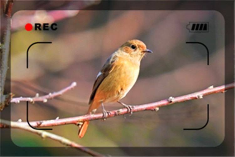 一个快50岁的人创业,一个50岁创业失败者