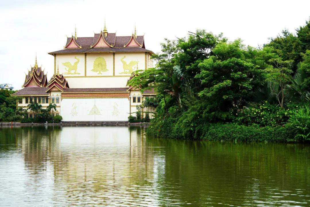 打卡中老铁路,曼听公园网红打卡景点