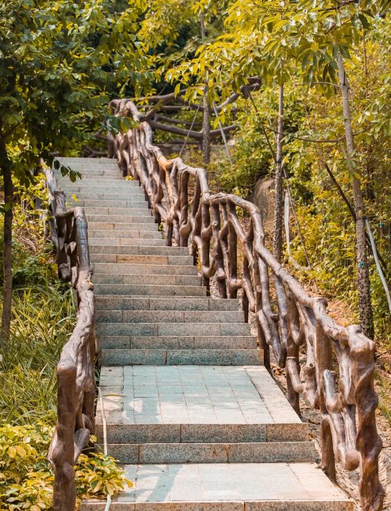 人少还免门票！深圳这片5000000㎡新公园美翻了，“神仙花谷”