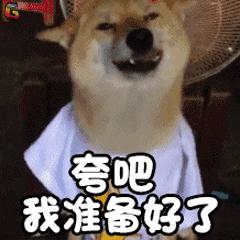 广州现在赏花哪里最好,广州各区赏花全指南