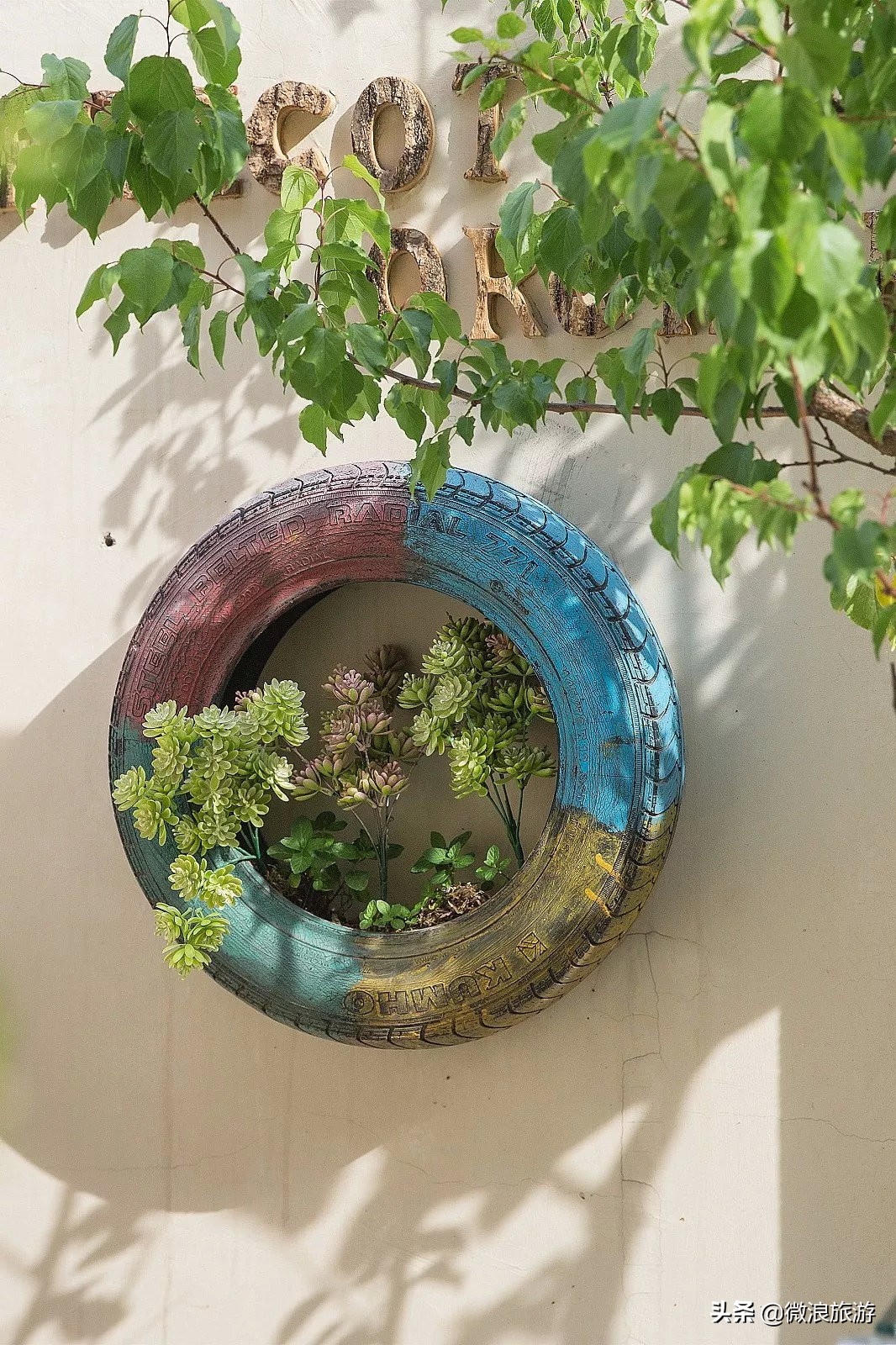 白鹭湾的“选美大赛”，谁是你心中最美的“姑娘”