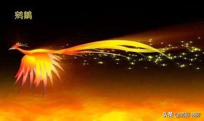 庄子经典语录清空内心,庄子私心太重难以理解