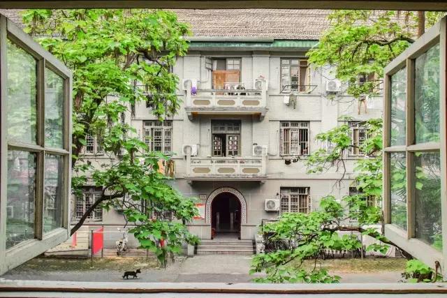 神仙颜值学校,神仙颜值校园