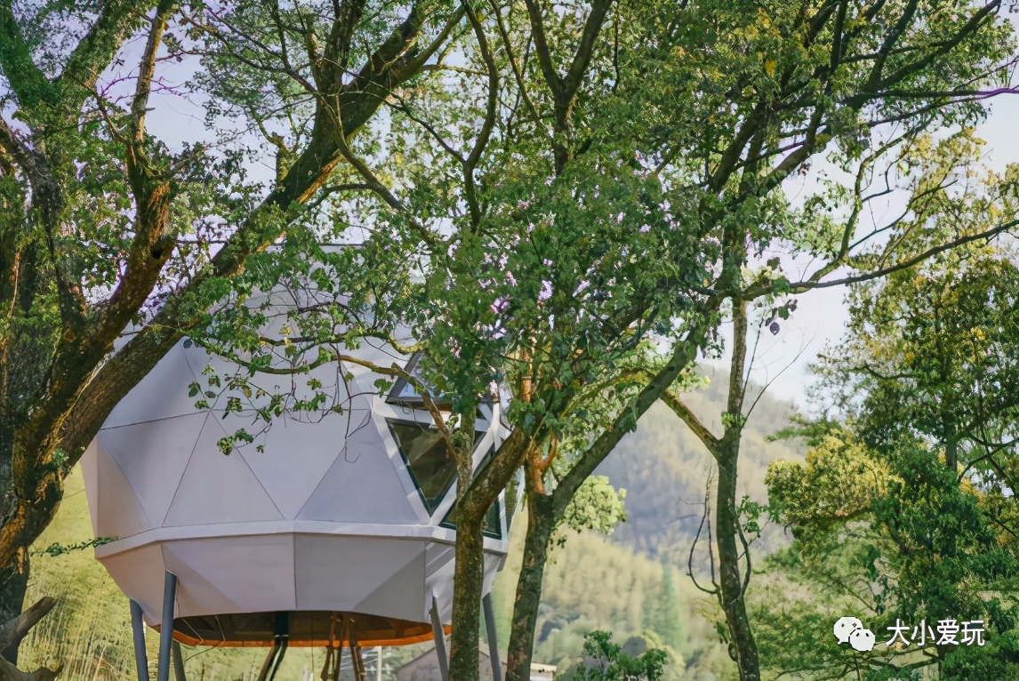 带娃去这7家亲子酒店,一定要带孩子去的亲子酒店