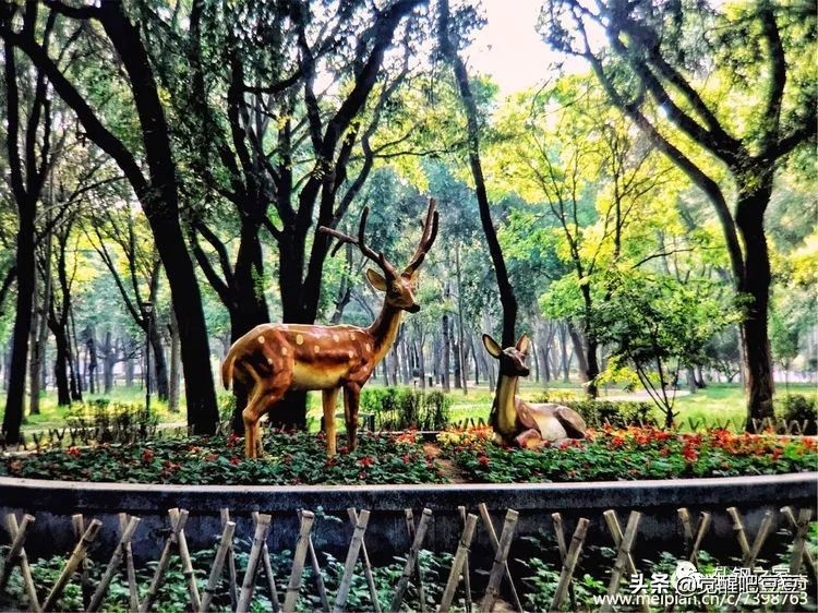 现在包头的现状,包头鹿城改成马城了吗