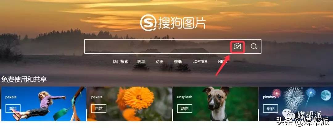不花钱的万能识图软件,好用的识图工具