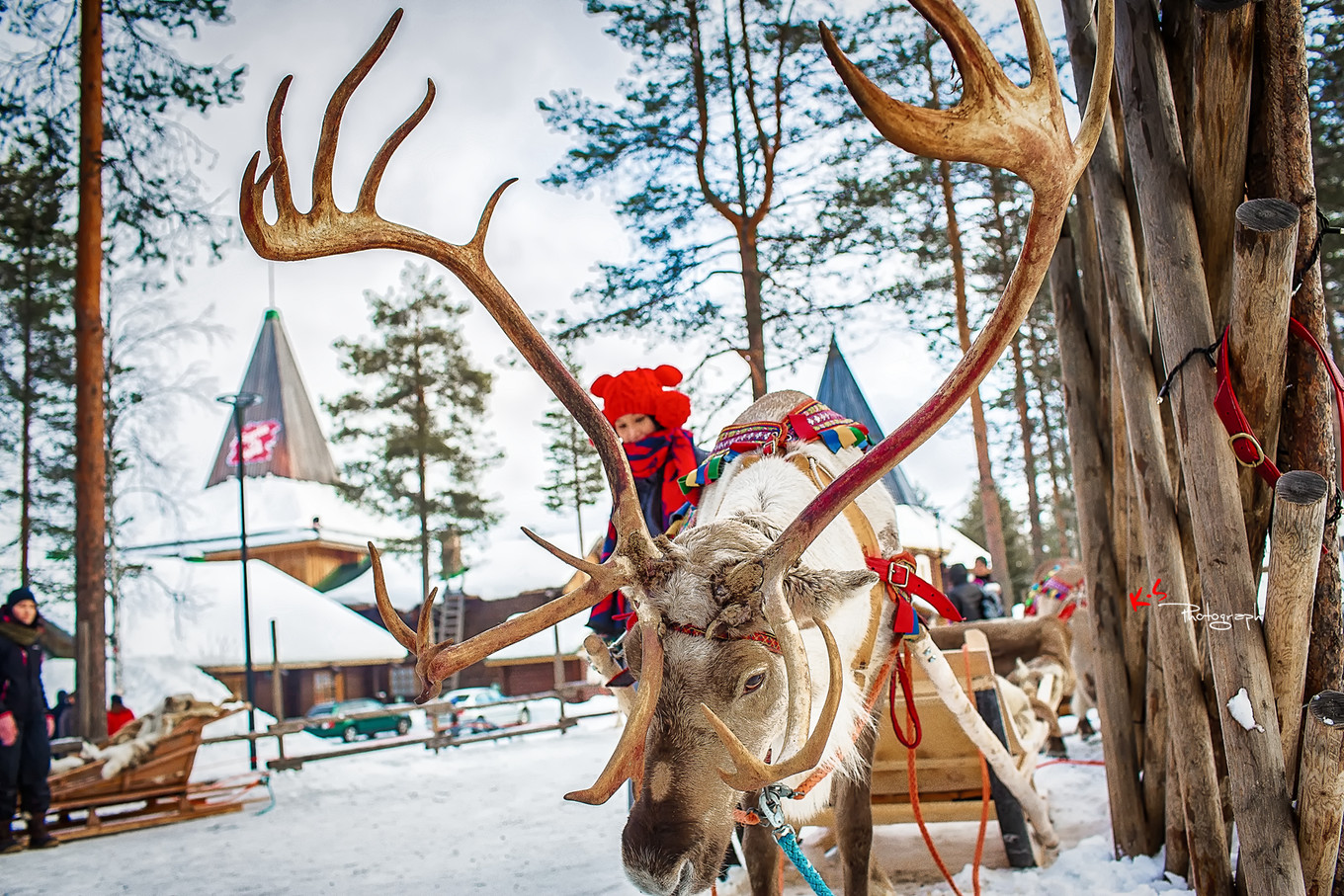 果小姐的日常,果小姐的慢生活