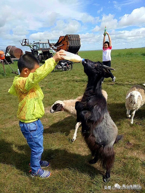 手绘套娃教程,列巴手绘套娃