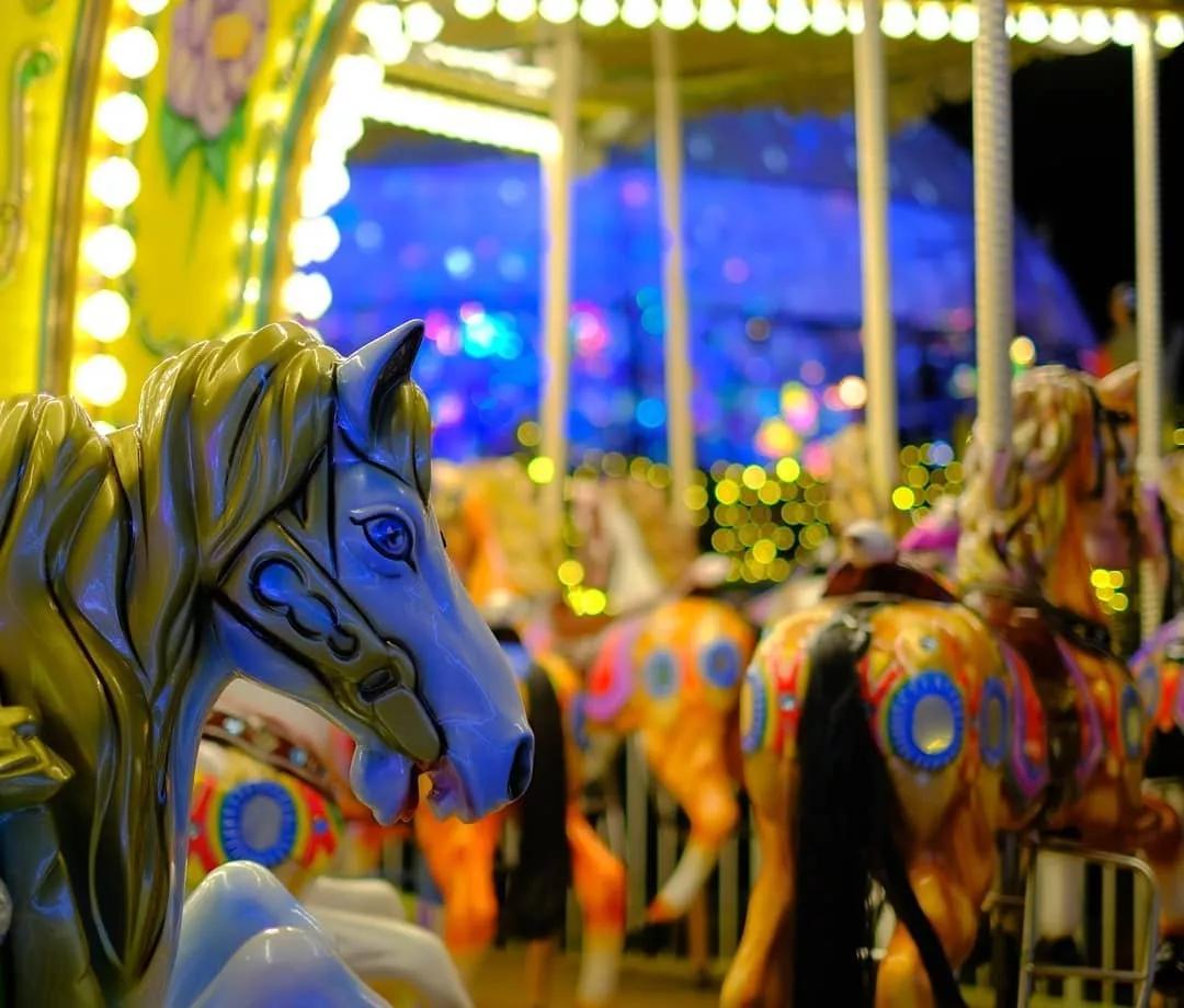 日本足球高中联赛决赛绝杀,日本高中足球联赛决赛集合