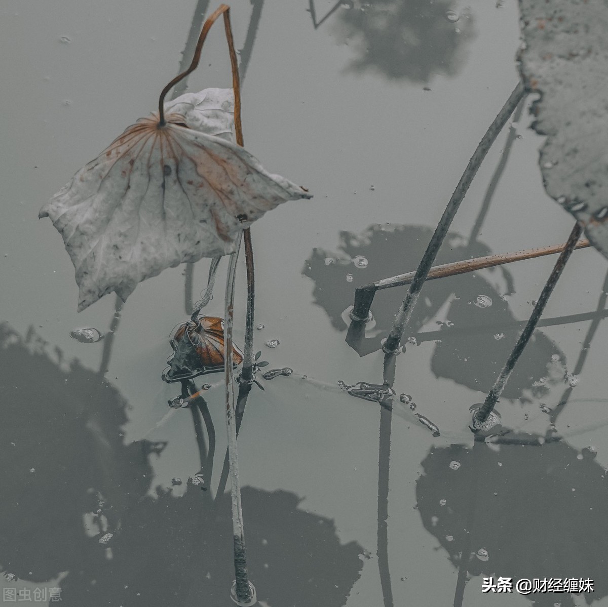 缠论的六种走势结构,缠论的趋势和操作