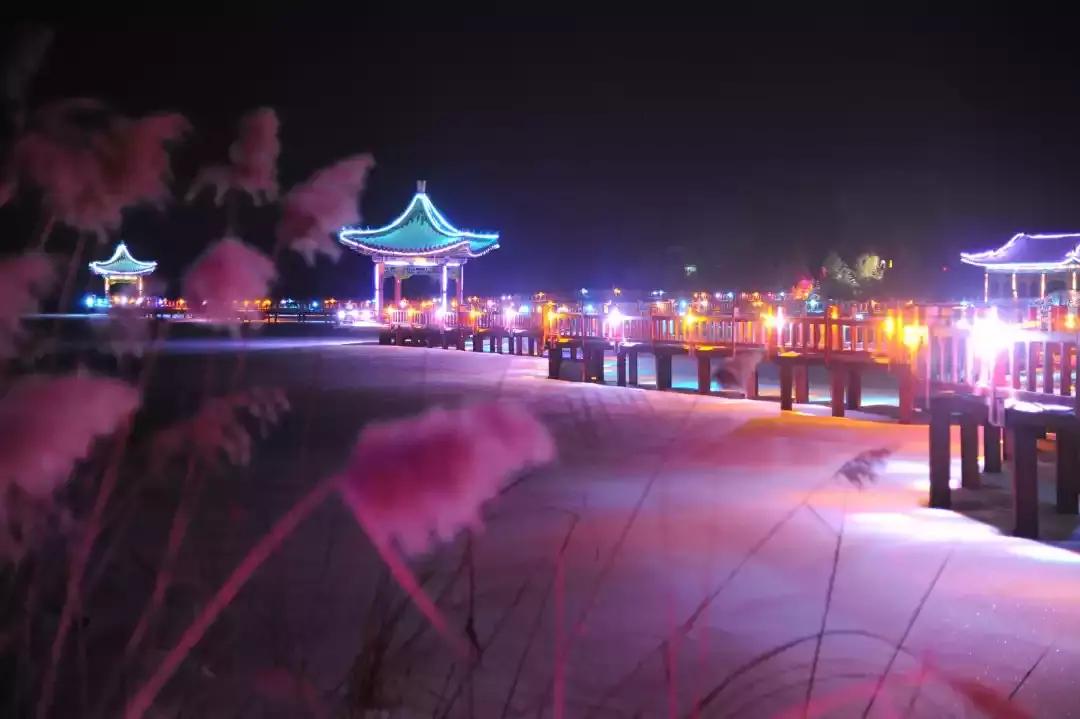 大美龙江黑河恋歌视频,大美龙江冰雪画