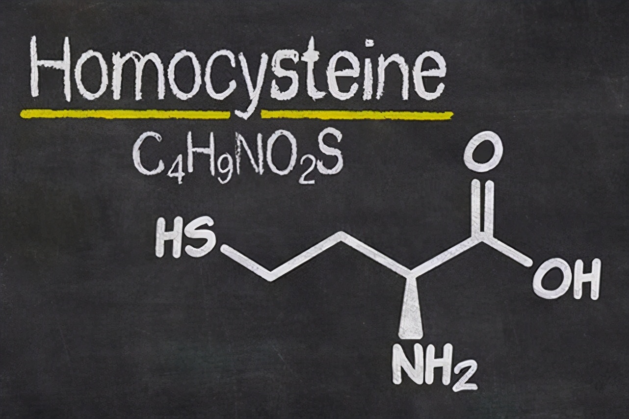 同型半胱氨酸过高会导致什么,同型半胱氨酸高会造成什么影响