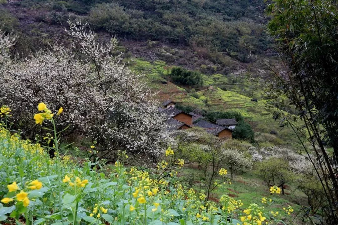 广西有座小城,广西这个宜居小城很低调