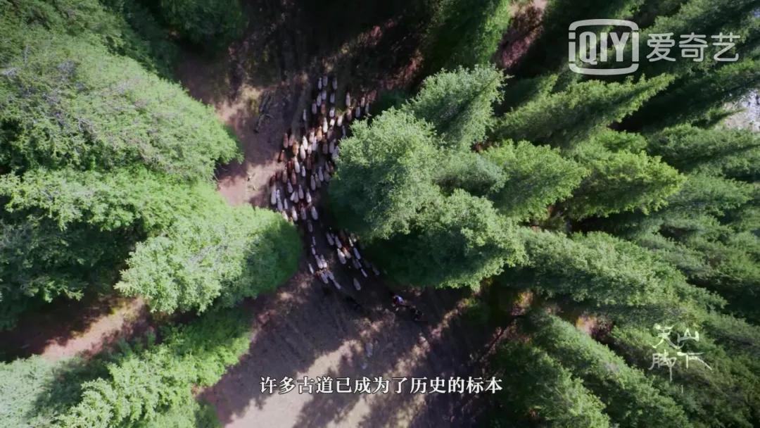 我国旅游日,中国旅游日5.19意义