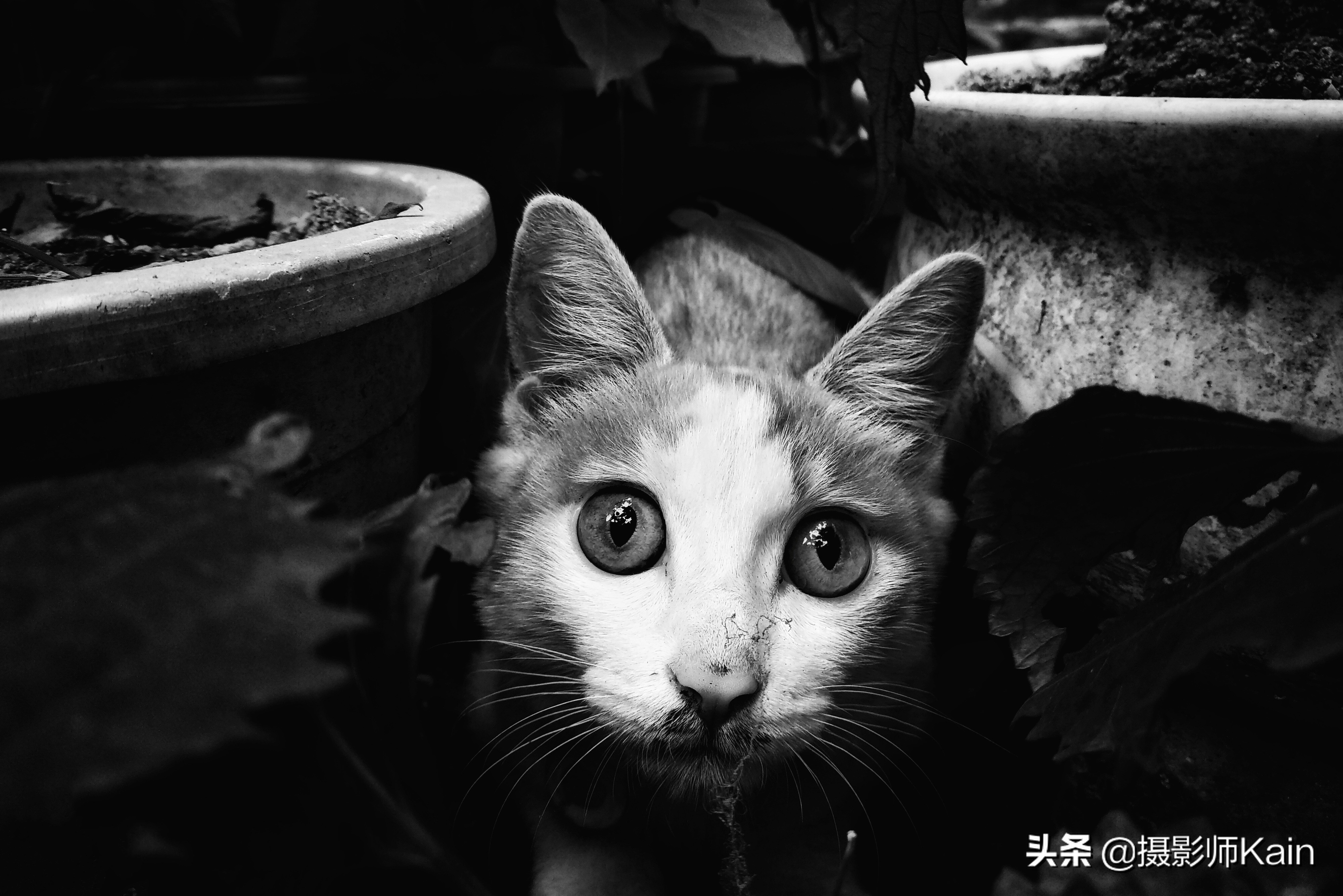 在平凡的场景中记录闪光的瞬间——专访摄影师zhaolei829