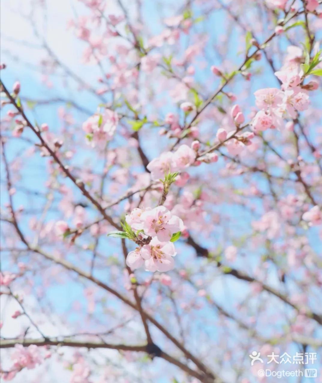 别再去挤故宫了！天津这些地界儿，足够你制霸五一朋友圈！