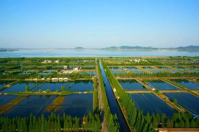 吃蟹赏景就在阳澄湖你准备好了吗,秋季阳澄湖吃蟹