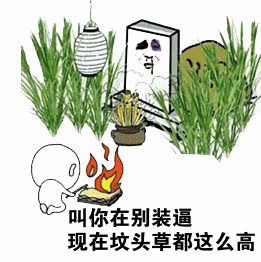 权健医疗保健,权健有哪些大牌保健品