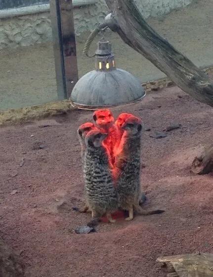 “臭”也有专门的计量单位的，臭袜子确实没有臭豆腐臭。