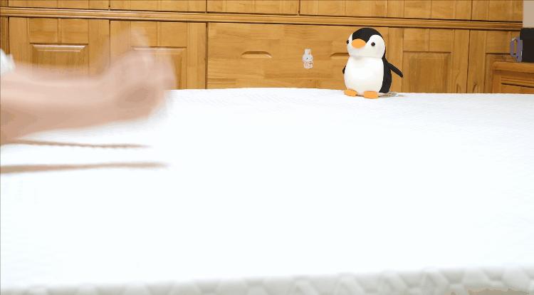 伪进口床垫,拒绝劣质床垫