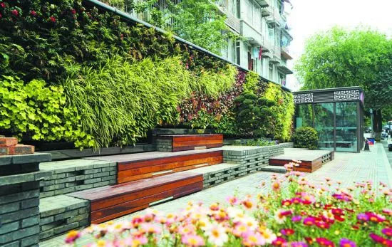 前所未有开新篇成都建设大美公园城市