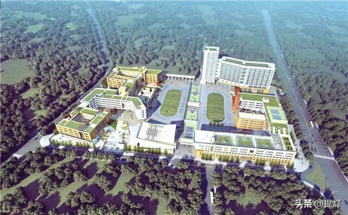 龙华区民办小学排名,2021龙华区小学入学政策