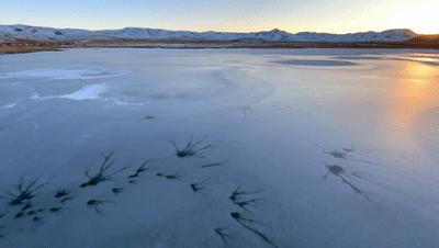 iphone13系列,iphone13原相机怎么拍照更好看