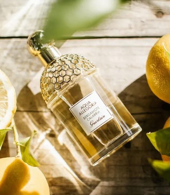 唯一一瓶必买的秋冬高级香水,无法拒绝的香水系列小众高级百搭