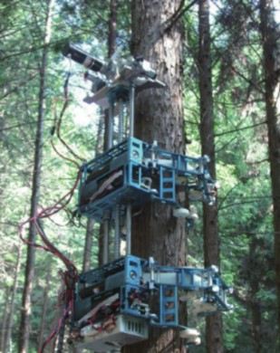 爬杆机器人主要原理,一种新型爬杆机器人