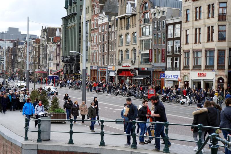 三十条冷知识大全,荷兰100条冷知识