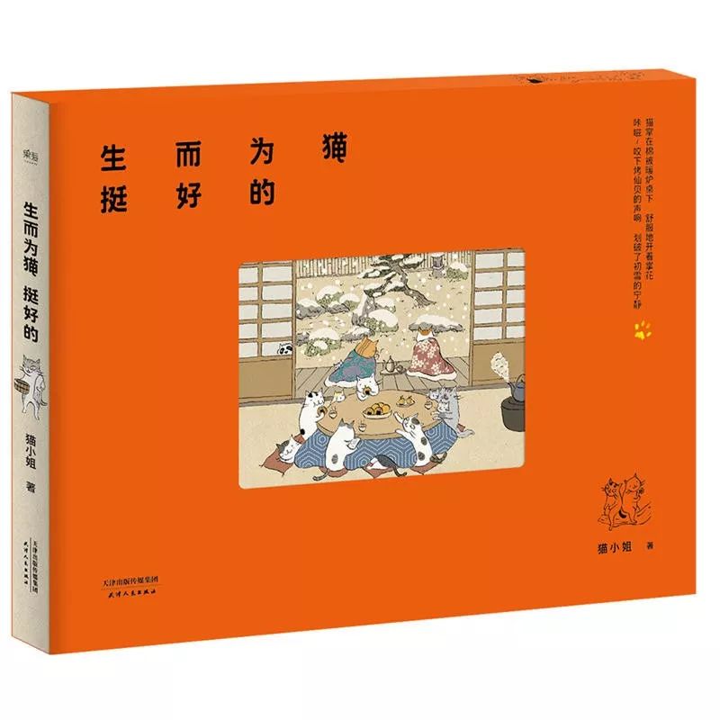 0-3岁猫咪可爱绘本,诚实的猫咪3-6岁儿童经典绘本