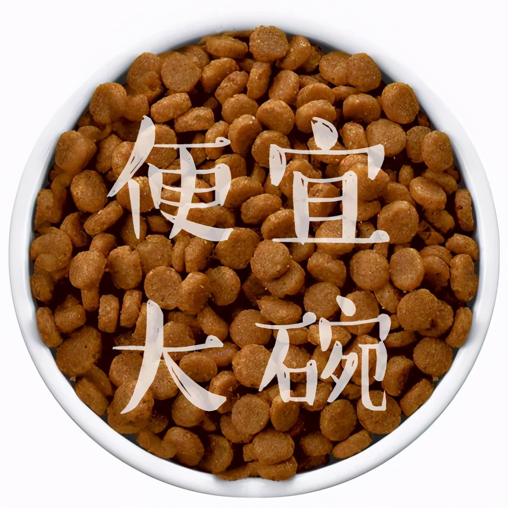 猫粮推荐真实测评不臭,劣质猫粮测评