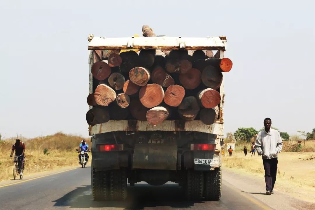 红木血檀最新消息,血檀带出去丢人吗