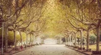 南师大马拉松,南京师范大学马拉松直播