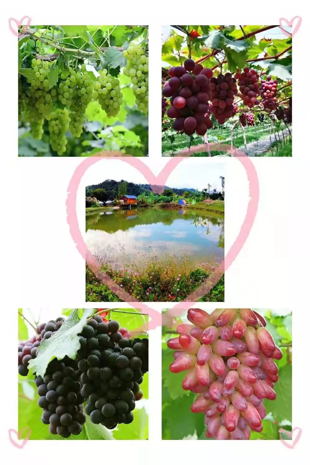 春节去旅行请收下这份防坑指南,春节旅行值得去的七大目的地