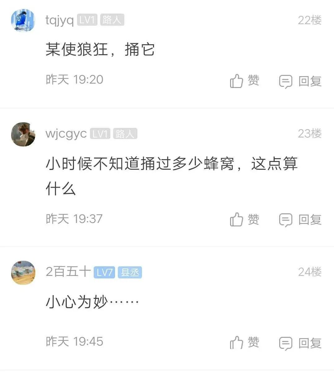 阳台被胡蜂建窝有什么讲究,野蜂在客厅窗户外筑巢是什么征兆