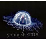 活力素乙酰基六肽-7如何令肌肤细胞年轻