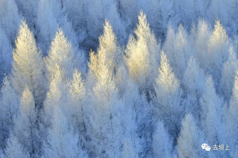 坝上摄影攻略,坝上夏季摄影