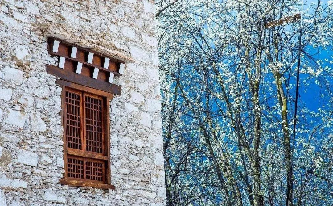 3月川西惊艳了所有人,千树万树梨花开川西