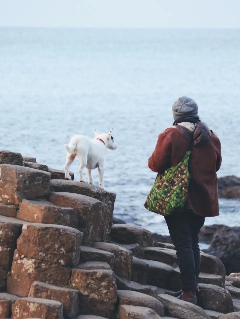 宅家封印解除,漫长的宅家封印解除