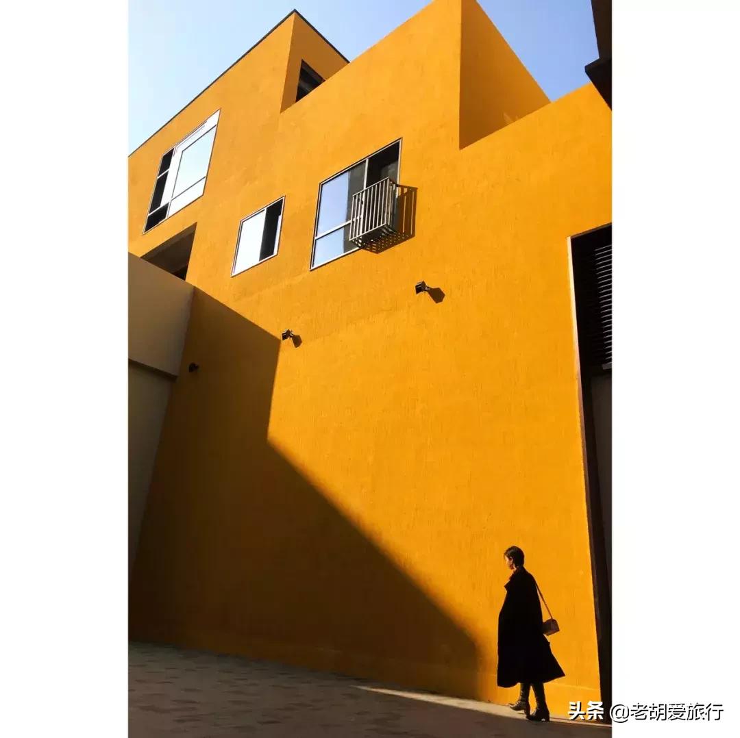 深圳周末春游好去处,深圳春游赏花去哪里好