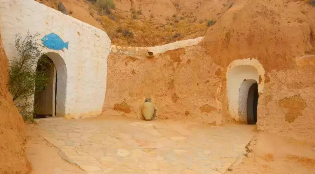 突尼斯是不是地中海,突尼斯一半沙漠