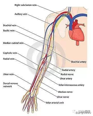 csgo和现实生活中的巧合,csgo与现实对比