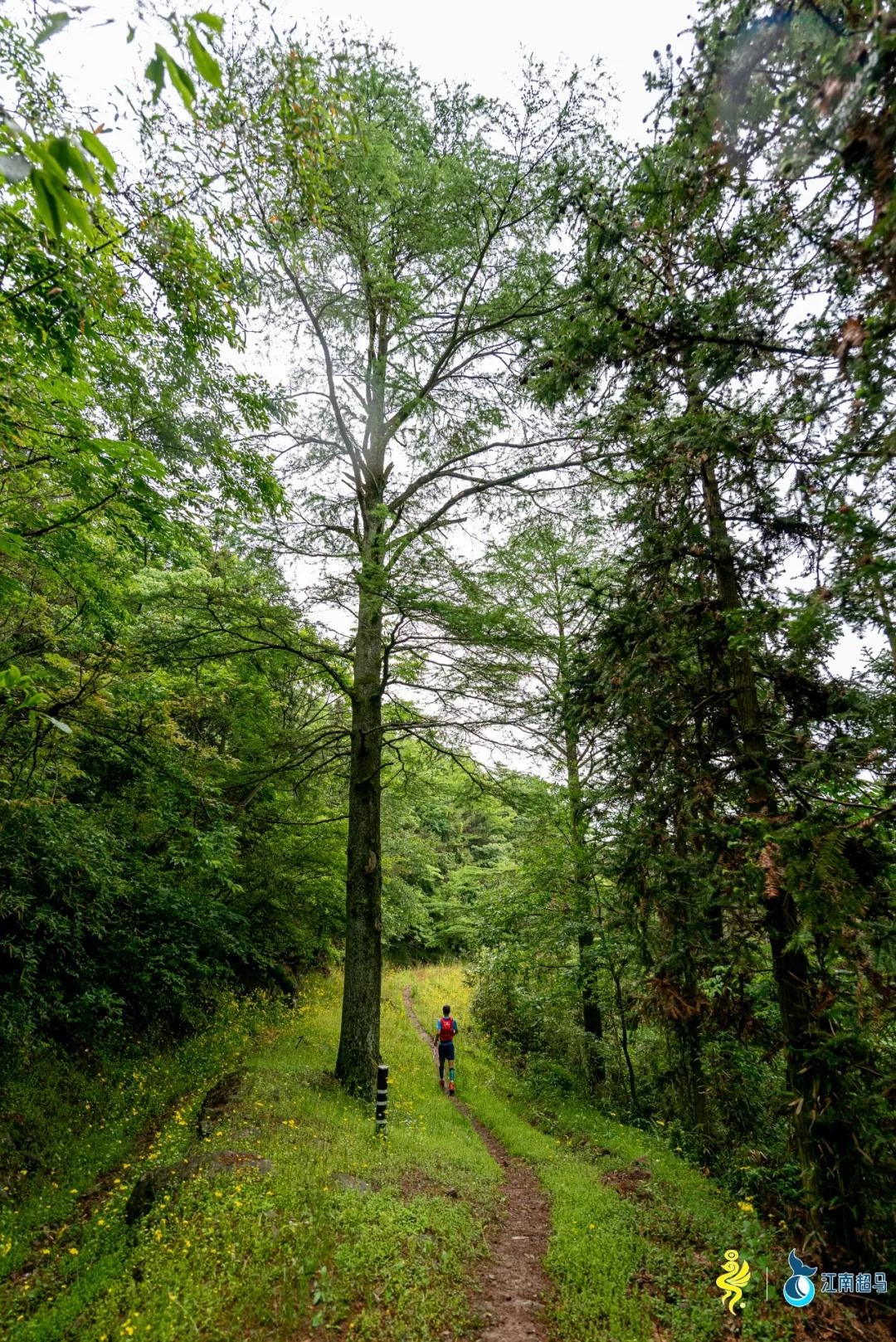 越野跑要穿什么样的鞋,越野跑鞋选购攻略