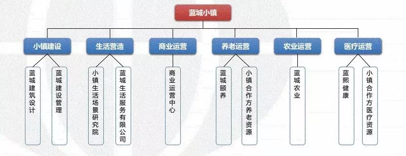 蓝城文旅集团董事长,蓝城集团地产公司简介