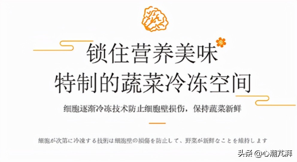 日系德系冰箱对比,德系和日系冰箱哪个好