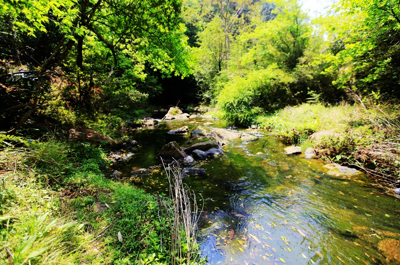 金秋野花沟在哪里,金秋野花沟照片