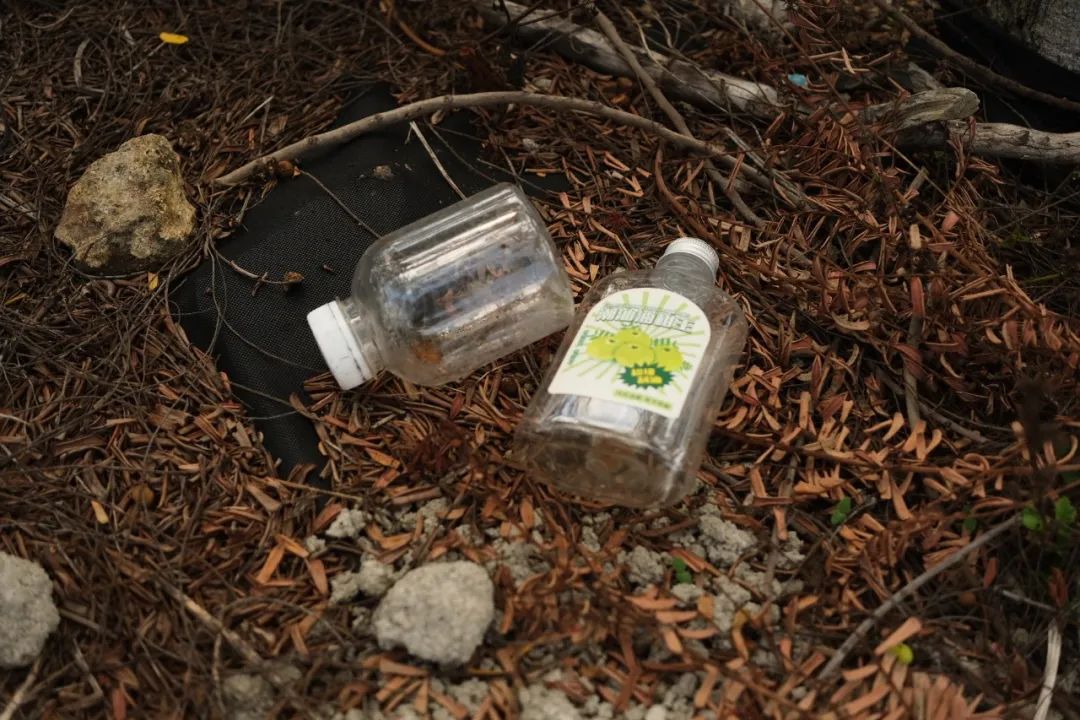 油柑!油柑!水果战争序幕